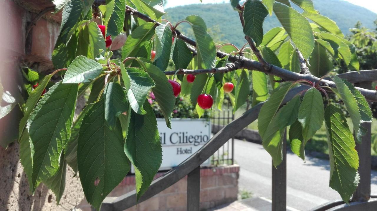 Guesthouse Il Ciliegio Sorbo Serpico エクステリア 写真